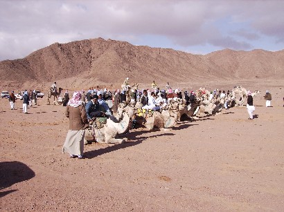 http://www.swisscare-hotels.com/camelrace1.jpg